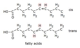 fatty acids