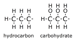 Hydrocarbons Vs Carbohydrates