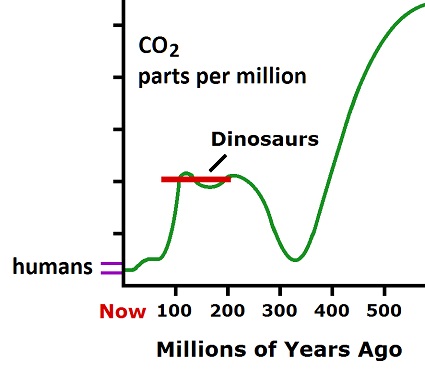Carbon Dioxide Graph