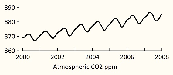 CO2 Seasonal Variations