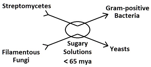 Evolution In Sugary Solutions