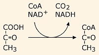 CH3-CO-COOH