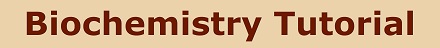 BIOCHEMISTRY TUTORIAL