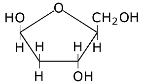 deoxiribose