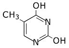 thymine